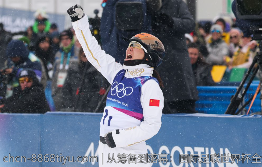 从筹备到落幕：国际足联世界杯全流程解读